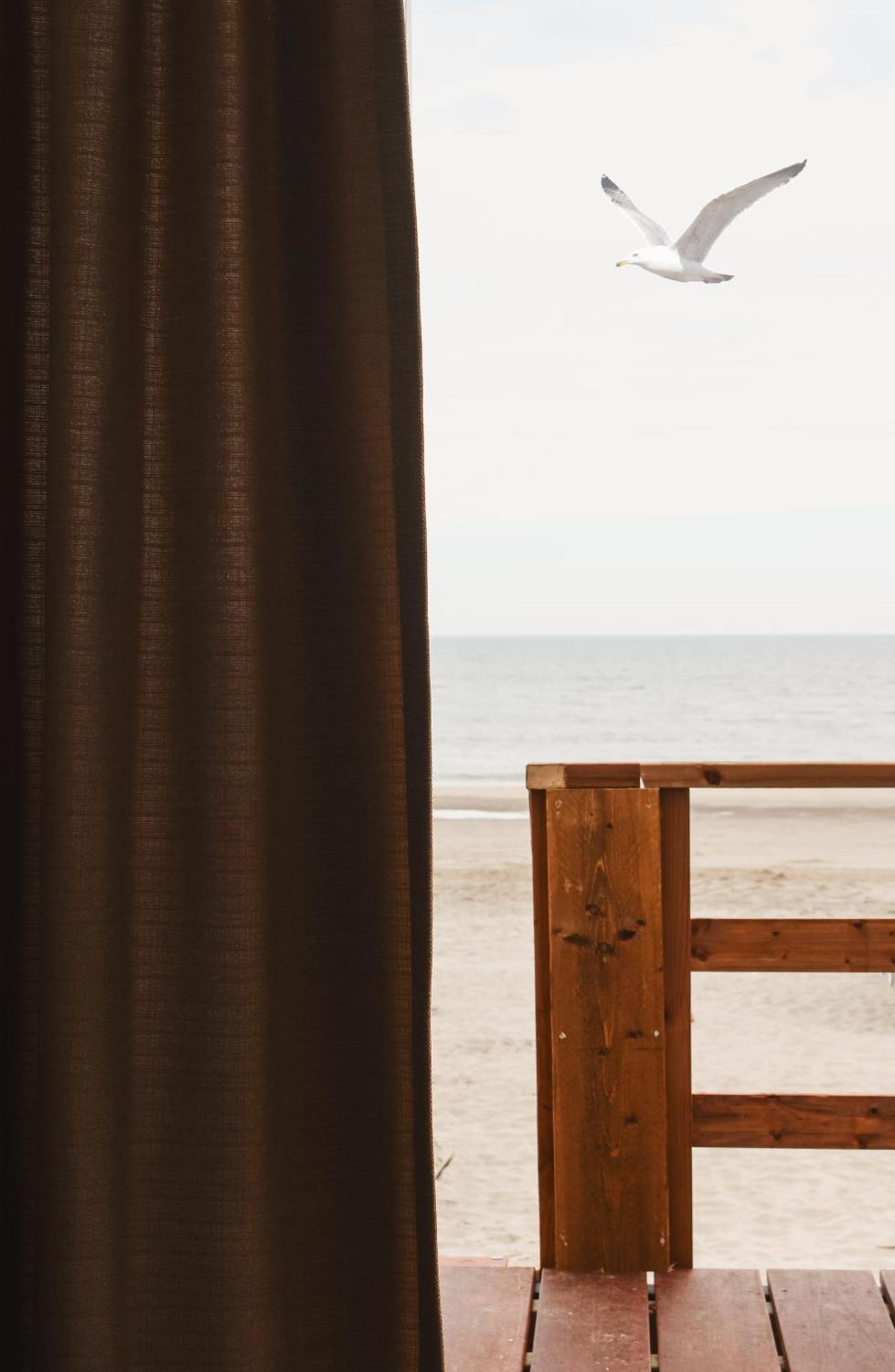 Strandhuisjes Zoomers Aan Zee Кастрикум Екстериор снимка
