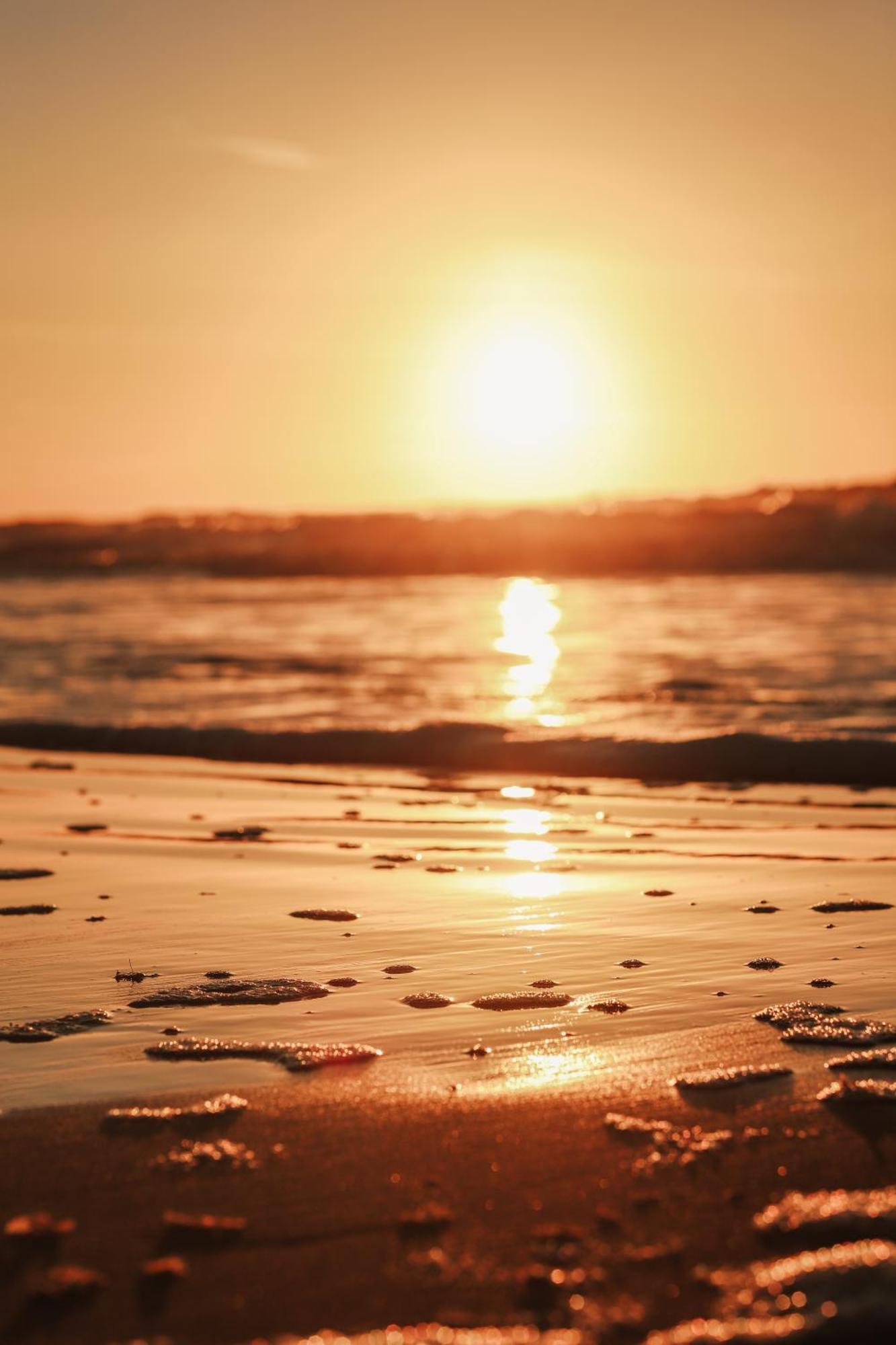 Strandhuisjes Zoomers Aan Zee Кастрикум Екстериор снимка