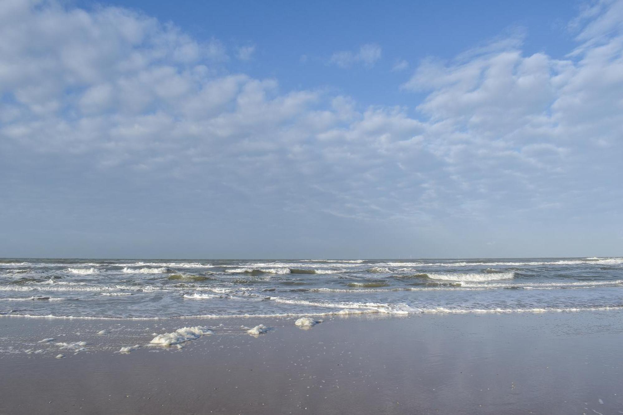 Strandhuisjes Zoomers Aan Zee Кастрикум Екстериор снимка